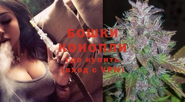 бошки Лагань