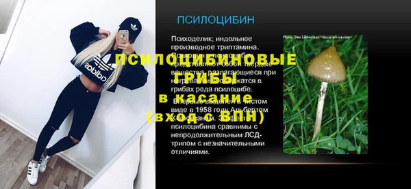 а пвп мука Лабытнанги