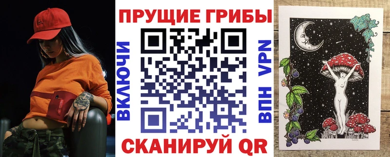 Купить  Кяхта  Псилоцибиновые грибы MAGIC MUSHROOMS 
